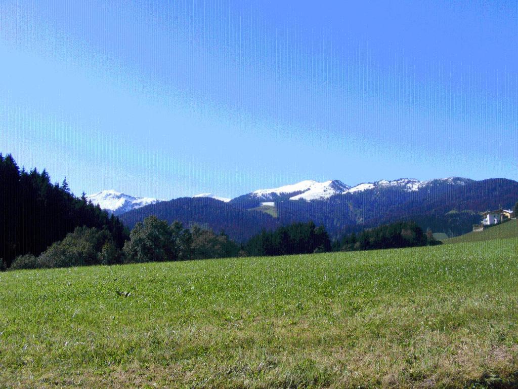 Landgasthof Dorferwirt Oberau Pokój zdjęcie